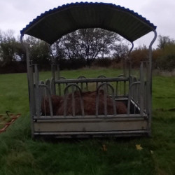 Vds râteliers à chevaux