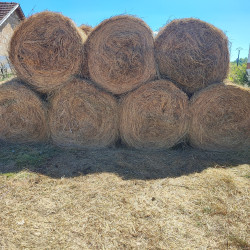 Vds foin de prairie 2025