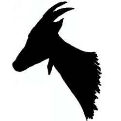 Agent d'élevage caprin