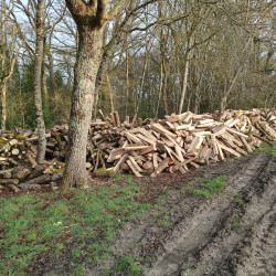 VEND BOIS DE CHAUFFAGE