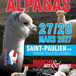 CONCOURS ALPAGAS - Art & Laines