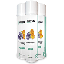 HOLOSPRAY BOMBE 400ML