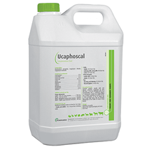 UCAPHOSCAL 5 LITRES