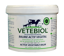 VEGEBOM - POT 400GRS