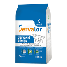 LAIT SERVAKID ENERGY 25 KG