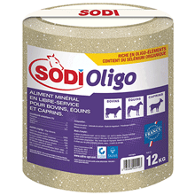 SODIOLIGO BLOC 12 KGS