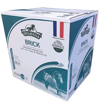 DYNAVENA BRICK