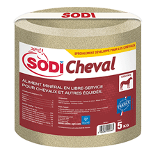 SODICHEVAL BLOC DE 5 KGS