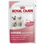 KITTEN INSTINCTIVE  SACHET