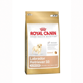 LABRADOR JUNIOR 33 - 3 KGS