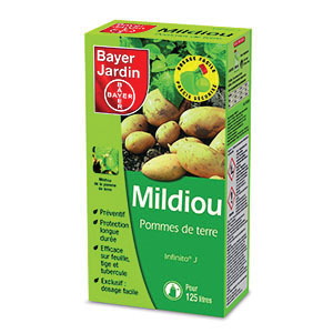 MILDIOU POMME DE TERRE