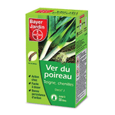 VER DU POIREAU, CHENILLE