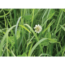 MELANGE HERB'ALLIANCE 15 KGS