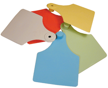ALLFLEX SUPER MAXI