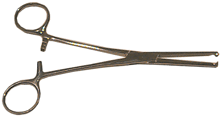 PINCE KOCHER DROITE 16 CMS