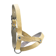 LICOL CUIR