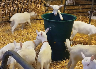 TURBO SPRAY 8 TÉTINES - photo 2