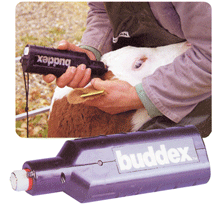 ECORNEUR BUDDEX 1716