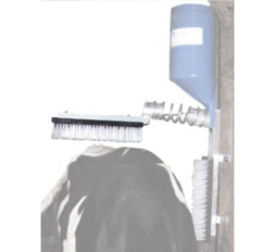 BROSSE HORIZONTALE SANIBROSSE