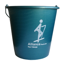 SEAU 12 L.JAUNE ALLIANCE PAST