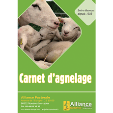 CARNET AGNELAGE AP