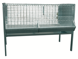 ELEVEUSE POUSSINS METAL