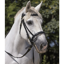 BRIDON CUIR CHEVAL DE TRAIT
