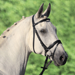 BRIDON CLUB Cheval