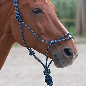 LICOL CORDE + LONGE - photo 2