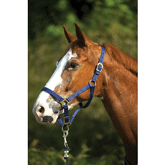 LICOL NYLON CHEVAL