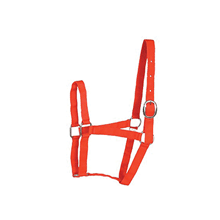 LICOL NYLON PONEY