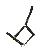 LICOL DOUBLE CUIR PONEY