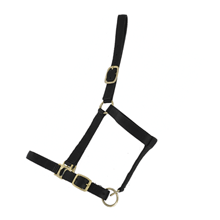 LICOL DOUBLE CUIR CHEVAL TRAIT