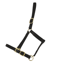 LICOL DLE CUIR DOUBLE PONEY