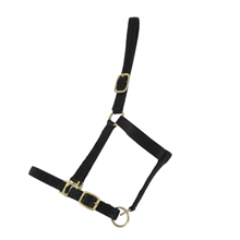 LICOL DOUBLE CUIR CHEVAL