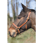 LICOL CUIR NOISETTE CHEVAL