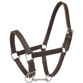 LICOL ARTILLERIE CHEVAL