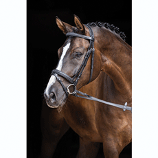 BRIDON A TETIERE DOUBLE