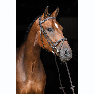 BRIDON A TETIERE DOUBLEE - photo 2