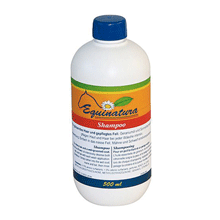 SHAMPOOING 500 ML
