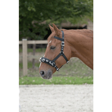CAVECON NYLON EPAIS poney