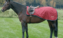 COUVRE-REINS IMPERMEABLE POLAR