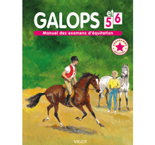 LIVRE GALOP 5 et 6 (MALOINE)