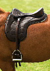 SELLE ERIC THOMAS SANS AR�ON