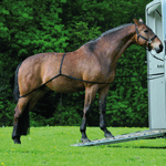 SANGLE D'EMBARQUEMENT POUR VAN