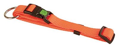 COLLIER CHIEN ORANGE 30-45 CM