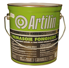 PEINTURE ANTI-MOISI 2,5L SATIN