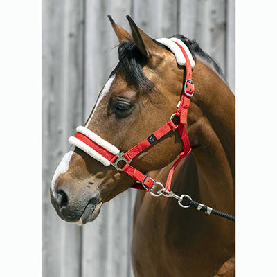 LICOL NYLON + MOUTON - photo 3