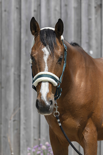 LICOL NYLON + MOUTON  - photo 3