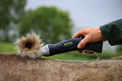 TONDEUSE POUR BOVIN SANS FIL - photo 3